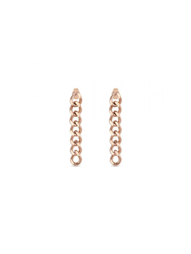 Дамски обеци Daniel Klein DKJ.3.5003-3