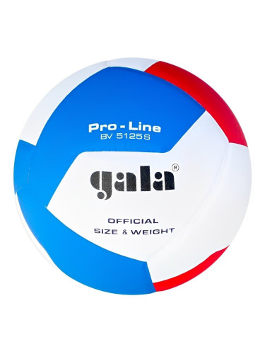 Gala Pro Line 12 Волейбол на закрито