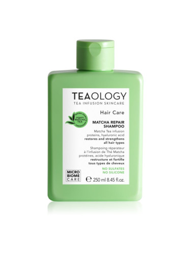 Teaology Hair Matcha Repair Shampoo шампоан за укрепване на косата 250 мл.
