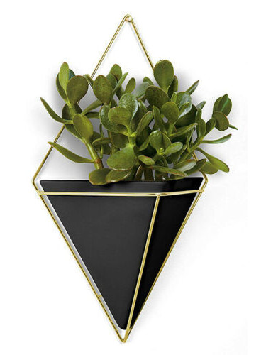 Декорация за стена UMBRA TRIGG голяма - цвят черен и месинг мат