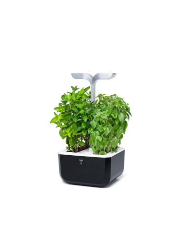 Настолна домашна градинка Exky® SMART Garden - цвят черен и инокс