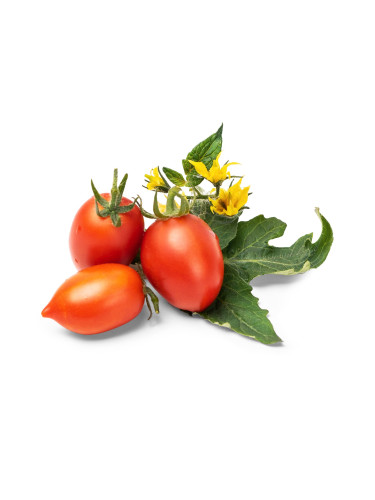 Пълнител (лингот) Red Cherry Tomato за настолна градина Véritable® - чери домати