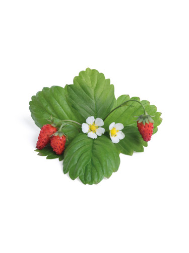 Пълнител (лингот) Wild Red Strawberry за настолна градина Véritable® - червени диви ягоди