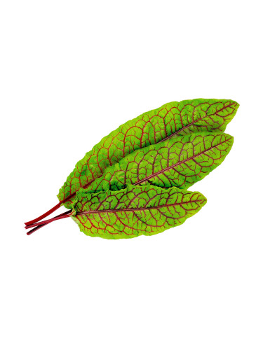 Пълнител (лингот) Bloody Dock за настолна градина Véritable® - лапад