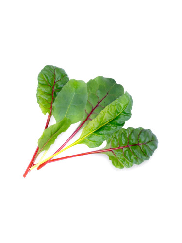Пълнител (лингот) Swiss Chard Organic за настолна градина Véritable® - манголд