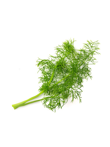 Пълнител (лингот) Fennel за настолна градина Véritable® - фенел