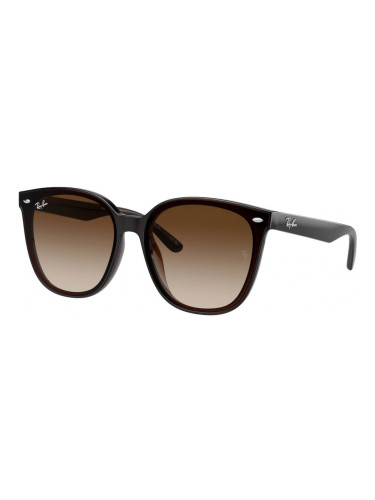 RAY-BAN RB4423D - 714/13