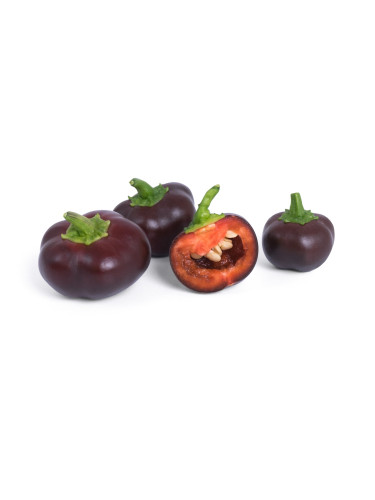 Пълнител (лингот) Chocolate mini bell pepper Organic за настолна градина Véritable® - шоколадови мини камби