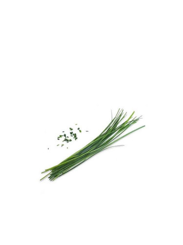 Пълнител (лингот) Chinese Chives Organic за настолна градина Véritable® - китайски лук