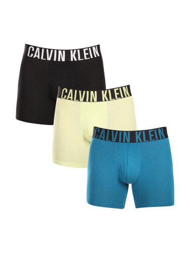 Set of three men's boxer shorts Calvin Klein - Men's