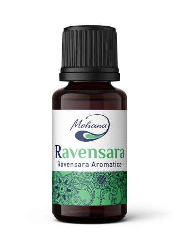 Етерично масло Равенсара дива, Ravensara Wild, 10 ml