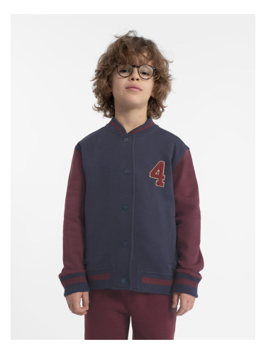 Boys' cotton sweatshirt