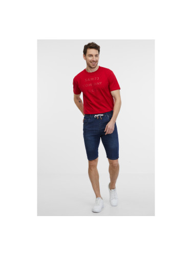 Men's shorts SAM73