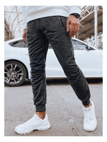 Men's joggers, dark grey, Dstreet