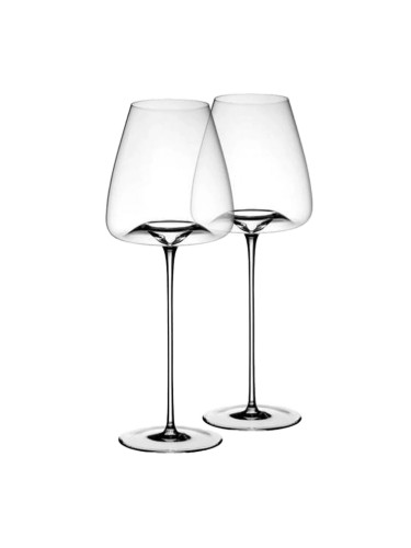 Zieher Glass INTENSE 2 pack