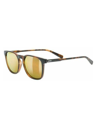 UVEX LGL 49 P Havanna/Mirror Gold Lifestyle cлънчеви очила