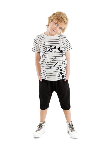 Denokids Cute Dino Boy T-shirt Capri Shorts Set