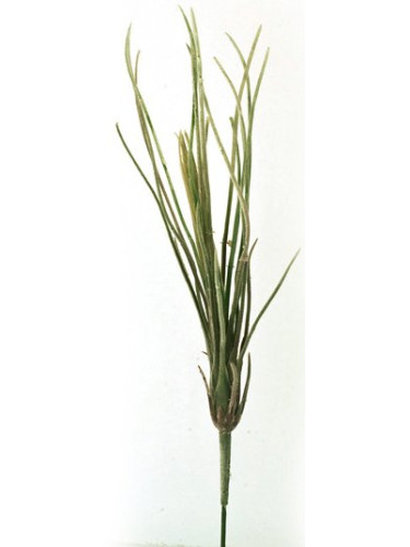 Изкуствени цвете снимка cyperus   (6 τεμάχια)