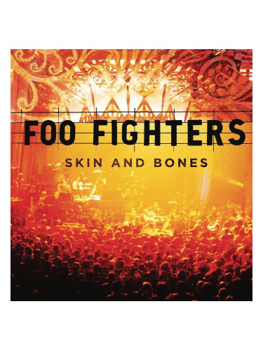 Foo Fighters Skin & Bones (2 LP)