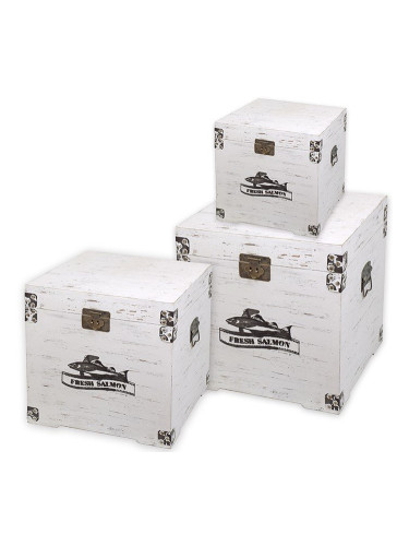 Кутии съхранение salmon