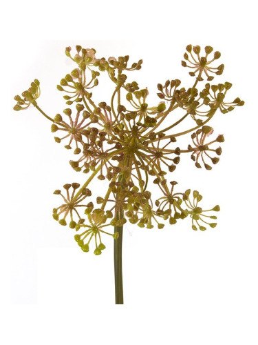 Клеър с кафяв/зелено цветя за композиции  (6 τεμάχια)