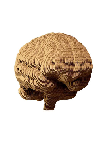 Пъзел 3d Cartonic Brain