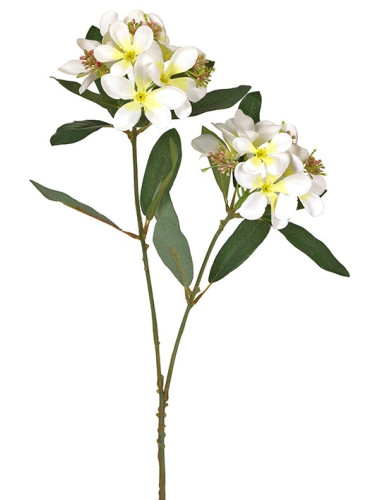 Декоративни клеър с цветя олеандър  (6 τεμάχια)