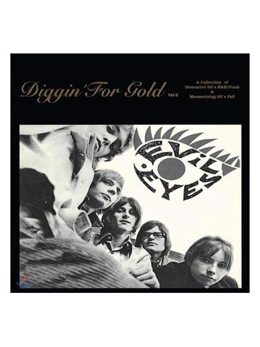Various Artists - Diggin’ For Gold Volume 6 (LP)