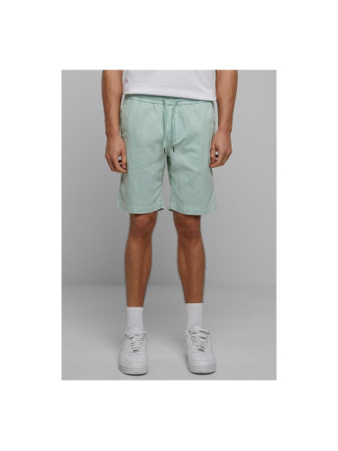 Men's Stretch Twill Shorts - Mint