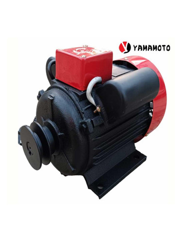 Електрически мотор YAMAMOTO YL802-2, 1300 W, 3000 об/мин.