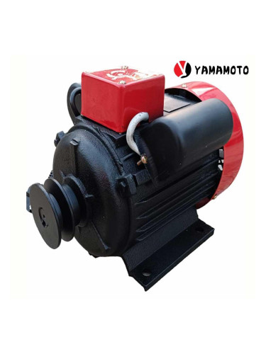Електрически мотор YAMAMOTO YL802-2, 1300W, 3000 об/мин.