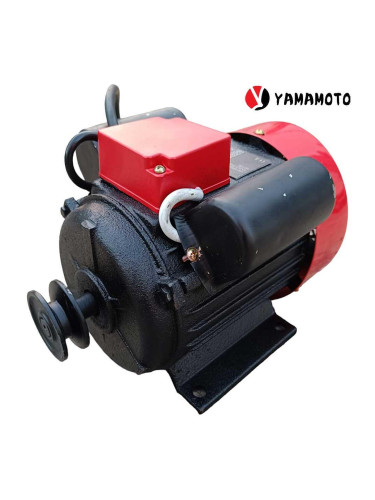 Електрически мотор YAMAMOTO Y801-2, 750 W, 3000 об/мин.