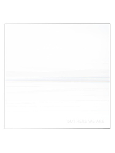 Foo Fighters - But Here We Are (White Coloured) (LP)