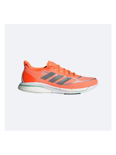 Men's running shoes adidas Supernova +