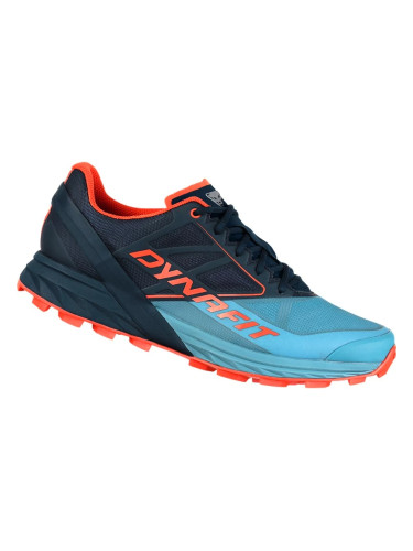 Men's Running Shoes Dynafit Alpine Storm blue