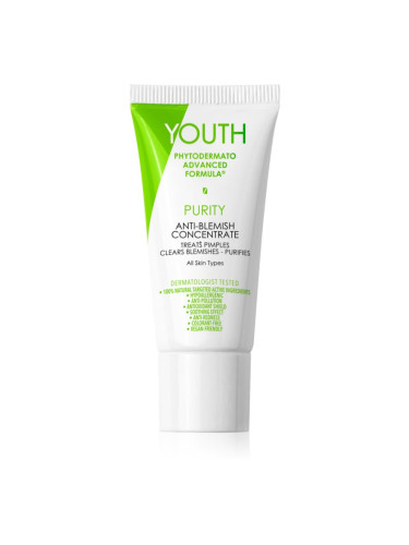 YOUTH Purity Anti-Blemish Concentrate локална грижа против акне 20 мл.