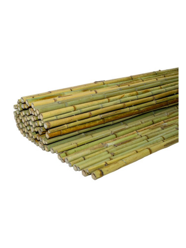 Бамбукова тръстика Ø20-25mm-250 x 100 cm.
