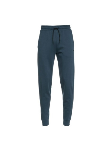 Puma RAD/CAL Pants DK Мъжки панталони, тъмносин, размер XXL