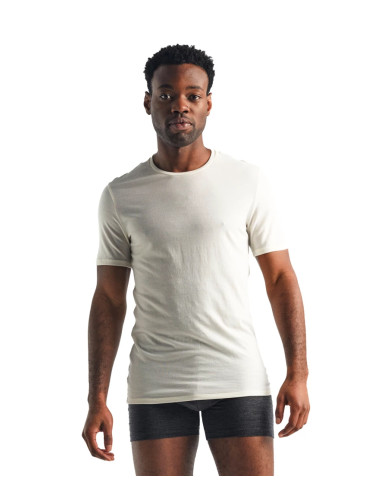 Men's T-shirt Icebreaker Anatomica SS Crewe white