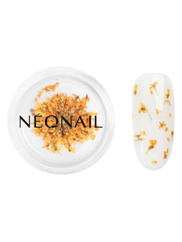NEONAIL Dried Flowers сушен цвят за нокти цвят Orange 1 бр.