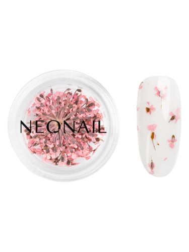 NEONAIL Dried Flowers сушен цвят за нокти цвят Pink 1 бр.