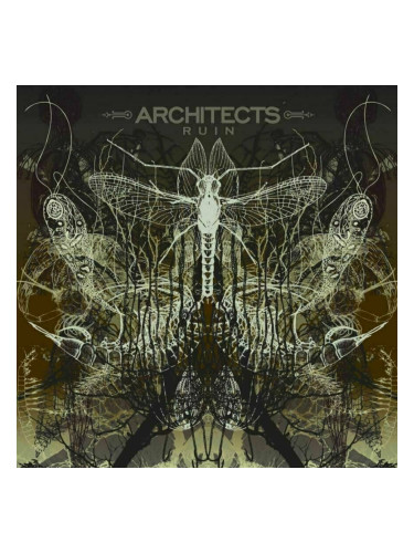Architects - Ruin (LP)