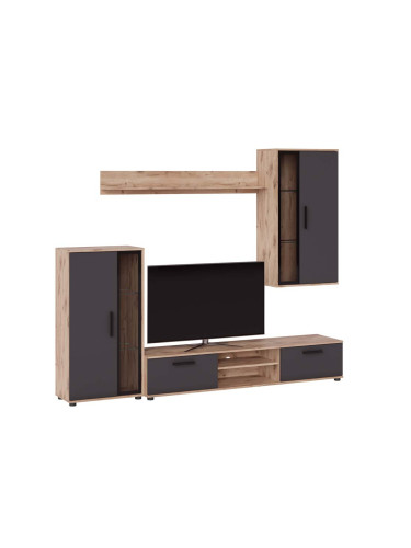 ХОЛНА СЕКЦИЯ