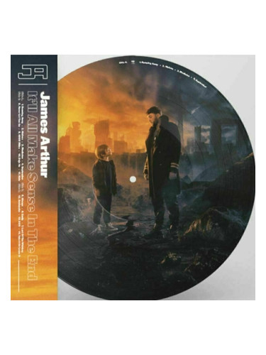 James Arthur - It'll All Make Sense In The End (Picture Disc) (2 LP)