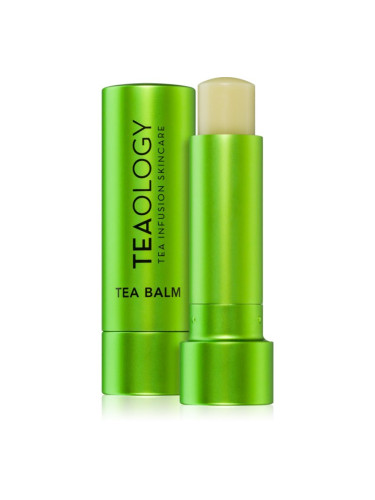 Teaology Tea Balm хидратиращ балсам за устни в тубичка цвят Matcha Tea - transparent 4 гр.