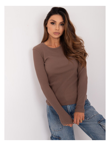 Brown basic blouse with long sleeves