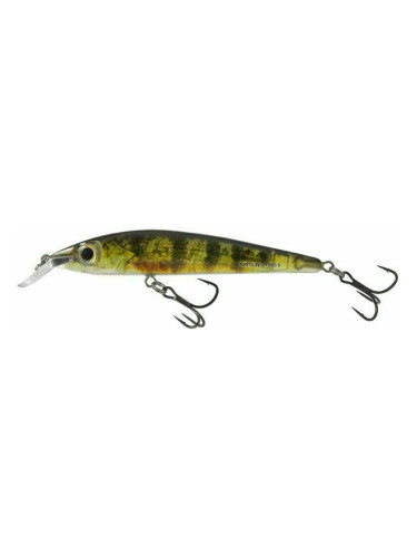 Salmo Rattlin' Sting Suspending Real Yellow Perch 9 cm 11 g Воблер