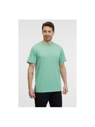 Light green men's T-shirt SAM 73 Goose