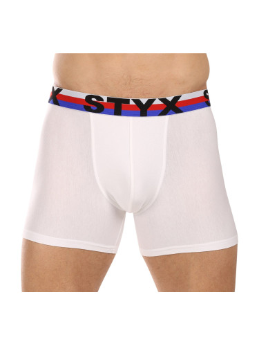 Men's boxers Styx long sports elastic white tricolor