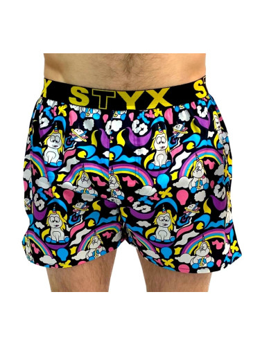 Men's boxer shorts Styx art sports rubber Unicorn